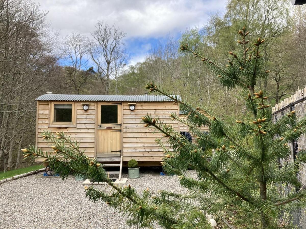 Highland Bear Lodge & Luxury Bear Huts Drumnadrochit Bagian luar foto