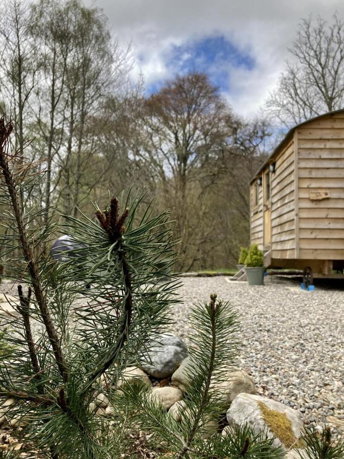 Highland Bear Lodge & Luxury Bear Huts Drumnadrochit Bagian luar foto