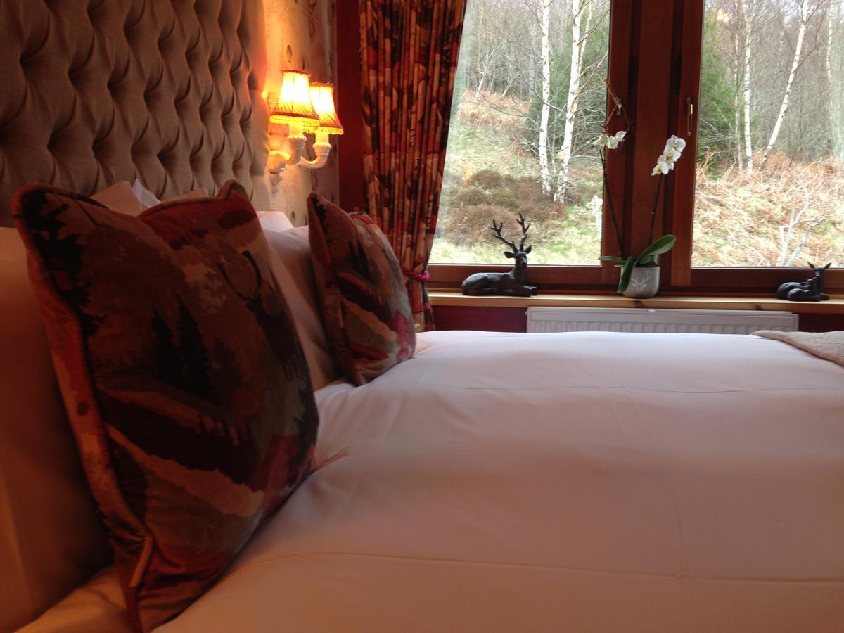 Highland Bear Lodge & Luxury Bear Huts Drumnadrochit Bagian luar foto